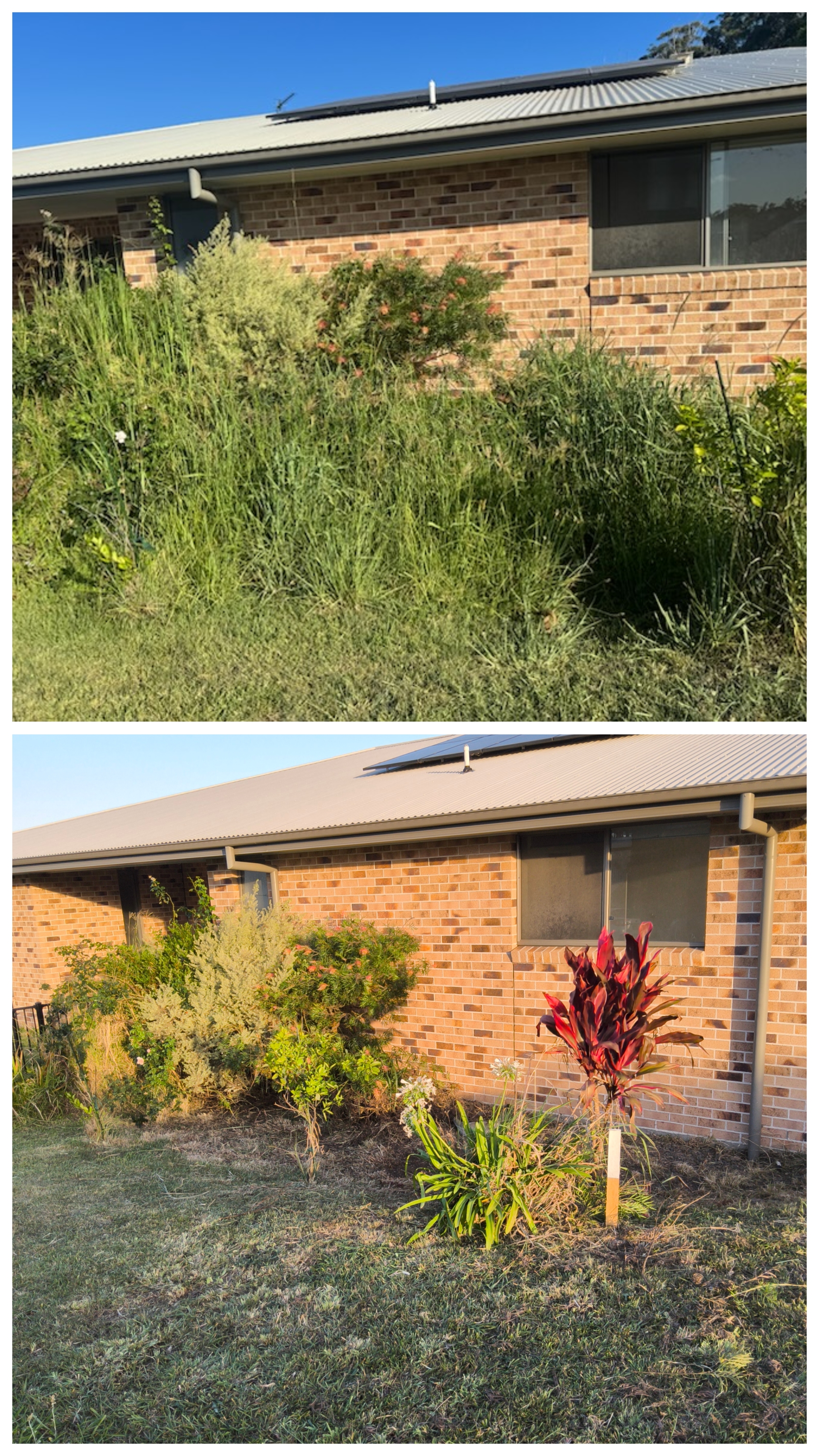 Garden bed tidy-up and weed spraying in Boambee